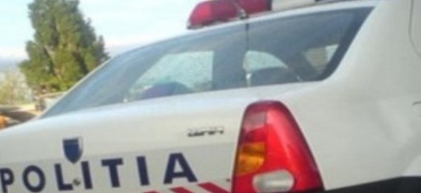 Acțiuni silvice în zona Parcului Național Munții Rodnei Acțiuni silvice în zona Parcului Național Munții Rodnei