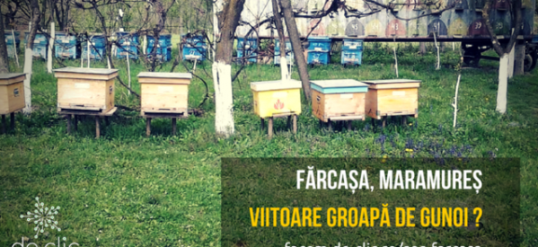 PETIȚIE – pentru ca frumoasa zonă Fărcașa din Maramureș să nu devină ”groapa de gunoi” a județului PETIȚIE – pentru ca frumoasa zonă Fărcașa din Maramureș să nu devină ”groapa de gunoi” a județului