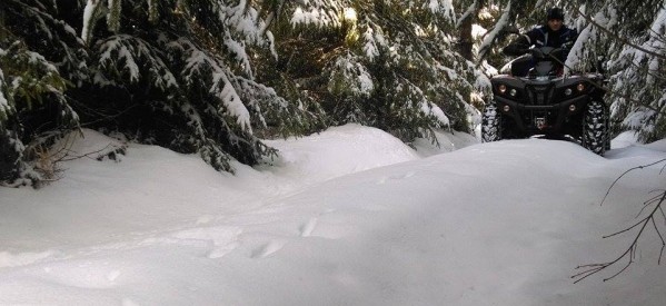 Bărbat rătăcit în pădure, salvat de jandarmii montani din Piatra Fîntînele Bărbat rătăcit în pădure, salvat de jandarmii montani din Piatra Fîntînele