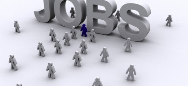 266 locuri de muncă vacante în județul Bistrița-Năsăud 266 locuri de muncă vacante în județul Bistrița-Năsăud