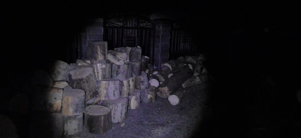 Jandarmii au efectuat controale pe linie silvică în Budacu de Sus și Colibița Jandarmii au efectuat controale pe linie silvică în Budacu de Sus și Colibița