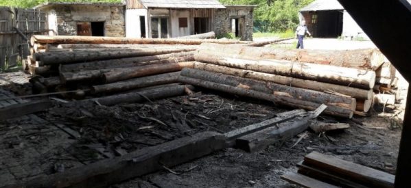 Material lemnos, în valoare de peste 6800 lei, confiscat de polițiștii din Prundu Bîrgăului Material lemnos, în valoare de peste 6800 lei, confiscat de polițiștii din Prundu Bîrgăului