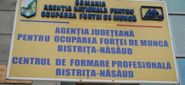Programe de formare profesională organizate de AJOFM Bistriţa-Năsăud în anul 2019 Programe de formare profesională organizate de AJOFM Bistriţa-Năsăud în anul 2019