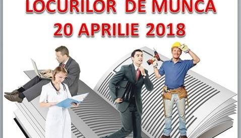 AJOFM Bistriţa-Năsăud pregăteşte Bursa Generală a Locurilor de Muncă AJOFM Bistriţa-Năsăud pregăteşte Bursa Generală a Locurilor de Muncă