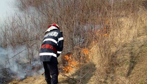 Incendiile de vegetație, un pericol pentru comunitățile bistrițene Incendiile de vegetație, un pericol pentru comunitățile bistrițene