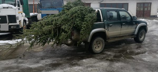 Acțiuni premergătoare sărbătorilor de iarnă desfășurate de polițiștii bistrițeni Acțiuni premergătoare sărbătorilor de iarnă desfășurate de polițiștii bistrițeni