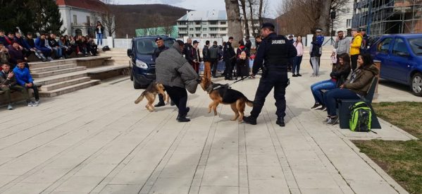 Jandarmii bistrițeni, în mijlocul cetățenilor din Beclean Jandarmii bistrițeni, în mijlocul cetățenilor din Beclean