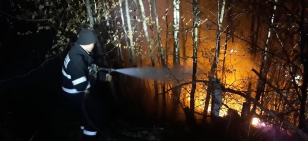Incendiu de vegetație uscată în Lunca Leșului Incendiu de vegetație uscată în Lunca Leșului