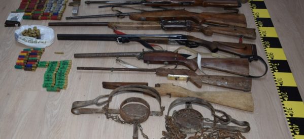 10 arme și 133 de cartușe, deținute ilegal, ridicate de polițiști în urma unei percheziții efectuate în Hălmăsău 10 arme și 133 de cartușe, deținute ilegal, ridicate de polițiști în urma unei percheziții efectuate în Hălmăsău