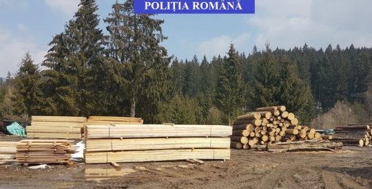 Lemn confiscat în Lunca Ilvei Lemn confiscat în Lunca Ilvei